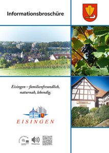 Informationsbroschüre der Gemeinde Eisingen